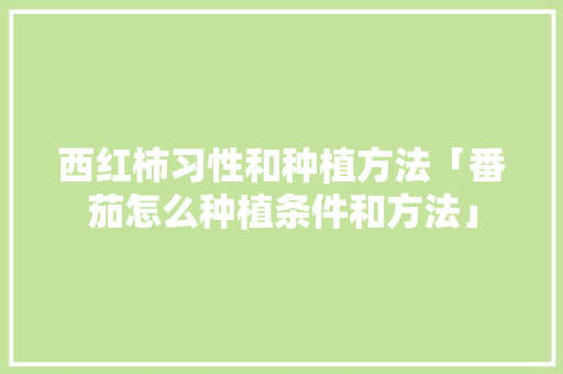 西红柿习性和种植方法「番茄怎么种植条件和方法」 西红柿习性和种植方法「番茄怎么种植条件和方法」 土壤施肥