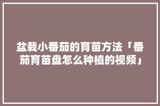 盆栽小番茄的育苗方法「番茄育苗盘怎么种植的视频」 盆栽小番茄的育苗方法「番茄育苗盘怎么种植的视频」 种植技巧