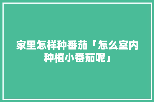 家里怎样种番茄「怎么室内种植小番茄呢」 家里怎样种番茄「怎么室内种植小番茄呢」 植物种类