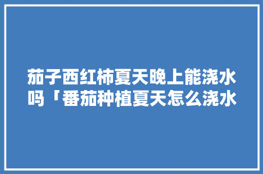 茄子西红柿夏天晚上能浇水吗「番茄种植夏天怎么浇水呢视频」 茄子西红柿夏天晚上能浇水吗「番茄种植夏天怎么浇水呢视频」 花朵知识