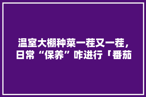 温室大棚种菜一茬又一茬，日常“保养”咋进行「番茄怎么立杆种植视频」
