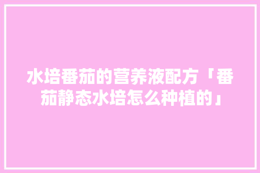 水培番茄的营养液配方「番茄静态水培怎么种植的」 水培番茄的营养液配方「番茄静态水培怎么种植的」 种植技巧
