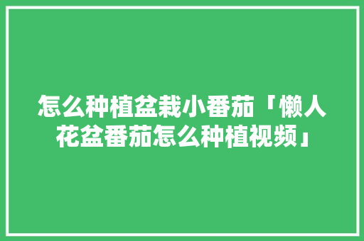 怎么种植盆栽小番茄「懒人花盆番茄怎么种植视频」 怎么种植盆栽小番茄「懒人花盆番茄怎么种植视频」 花朵知识
