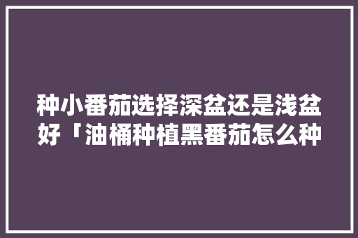 种小番茄选择深盆还是浅盆好「油桶种植黑番茄怎么种植」 番茄病虫害防治