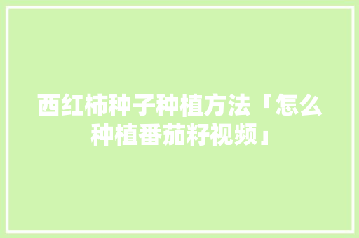 西红柿种子种植方法「怎么种植番茄籽视频」 西红柿种子种植方法「怎么种植番茄籽视频」 番茄种植技巧