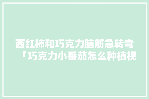 西红柿和巧克力脑筋急转弯「巧克力小番茄怎么种植视频」