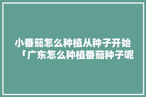 小番茄怎么种植从种子开始「广东怎么种植番茄种子呢」 小番茄怎么种植从种子开始「广东怎么种植番茄种子呢」 番茄病虫害防治