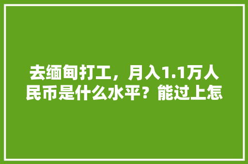 去缅甸打工，月入1.1万人民币是什么水平？能过上怎样的生活「番茄大棚种植怎么施底肥」