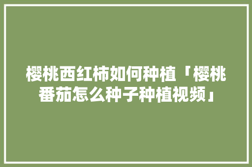 樱桃西红柿如何种植「樱桃番茄怎么种子种植视频」 樱桃西红柿如何种植「樱桃番茄怎么种子种植视频」 种植技巧
