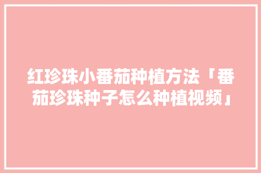 红珍珠小番茄种植方法「番茄珍珠种子怎么种植视频」 红珍珠小番茄种植方法「番茄珍珠种子怎么种植视频」 植物种类