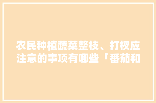 农民种植蔬菜整枝、打杈应注意的事项有哪些「番茄和茄子怎么种植视频教程」 农民种植蔬菜整枝、打杈应注意的事项有哪些「番茄和茄子怎么种植视频教程」 农业常识