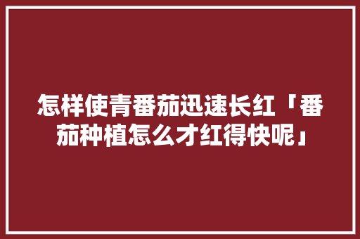 怎样使青番茄迅速长红「番茄种植怎么才红得快呢」 怎样使青番茄迅速长红「番茄种植怎么才红得快呢」 种植技巧