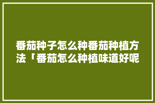 番茄种子怎么种番茄种植方法「番茄怎么种植味道好呢」 番茄种子怎么种番茄种植方法「番茄怎么种植味道好呢」 土壤施肥