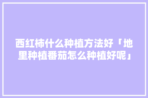 西红柿什么种植方法好「地里种植番茄怎么种植好呢」 番茄病虫害防治 西红柿什么种植方法好「地里种植番茄怎么种植好呢」 西红柿什么种植方法好「地里种植番茄怎么种植好呢」 番茄病虫害防治