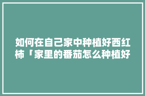 如何在自己家中种植好西红柿「家里的番茄怎么种植好呢视频」 如何在自己家中种植好西红柿「家里的番茄怎么种植好呢视频」 土壤施肥