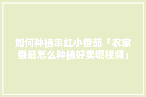 如何种植串红小番茄「农家番茄怎么种植好卖呢视频」