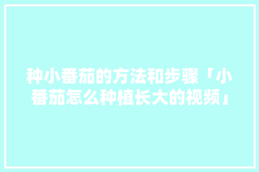 种小番茄的方法和步骤「小番茄怎么种植长大的视频」 种小番茄的方法和步骤「小番茄怎么种植长大的视频」 番茄病虫害防治