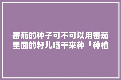 番茄的种子可不可以用番茄里面的籽儿晒干来种「种植番茄种子怎么处理好」 番茄的种子可不可以用番茄里面的籽儿晒干来种「种植番茄种子怎么处理好」 农业常识