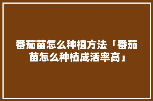 番茄苗怎么种植方法「番茄苗怎么种植成活率高」 番茄苗怎么种植方法「番茄苗怎么种植成活率高」 番茄病虫害防治