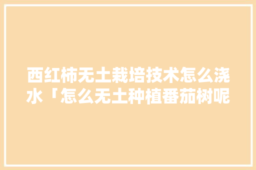 西红柿无土栽培技术怎么浇水「怎么无土种植番茄树呢」 西红柿无土栽培技术怎么浇水「怎么无土种植番茄树呢」 番茄种植技巧