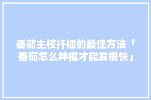 番茄主枝扦插的最佳方法「番茄怎么种植才能发根快」 番茄主枝扦插的最佳方法「番茄怎么种植才能发根快」 植物种类