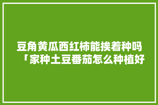 豆角黄瓜西红柿能挨着种吗「家种土豆番茄怎么种植好呢」 豆角黄瓜西红柿能挨着种吗「家种土豆番茄怎么种植好呢」 花朵知识