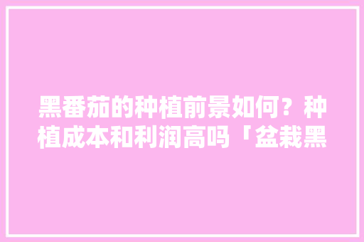 黑番茄的种植前景如何？种植成本和利润高吗「盆栽黑番茄怎么种植视频」 黑番茄的种植前景如何？种植成本和利润高吗「盆栽黑番茄怎么种植视频」 番茄种植技巧