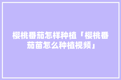 樱桃番茄怎样种植「樱桃番茄苗怎么种植视频」 樱桃番茄怎样种植「樱桃番茄苗怎么种植视频」 种植技巧