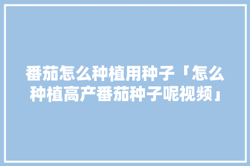 番茄怎么种植用种子「怎么种植高产番茄种子呢视频」 番茄怎么种植用种子「怎么种植高产番茄种子呢视频」 土壤施肥
