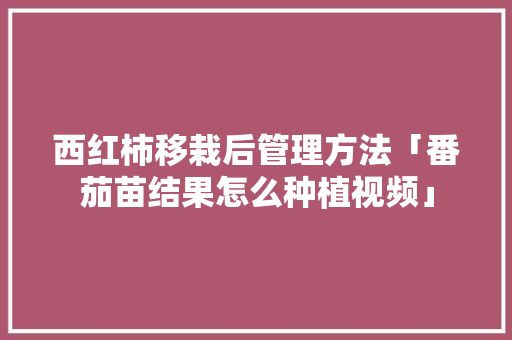 西红柿移栽后管理方法「番茄苗结果怎么种植视频」 西红柿移栽后管理方法「番茄苗结果怎么种植视频」 番茄病虫害防治