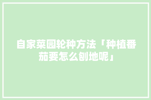 自家菜园轮种方法「种植番茄要怎么刨地呢」 自家菜园轮种方法「种植番茄要怎么刨地呢」 农业常识