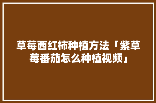 草莓西红柿种植方法「紫草莓番茄怎么种植视频」 草莓西红柿种植方法「紫草莓番茄怎么种植视频」 花朵知识