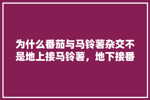为什么番茄与马铃薯杂交不是地上接马铃薯，地下接番茄呢「土豆番茄怎么种植的视频」 为什么番茄与马铃薯杂交不是地上接马铃薯，地下接番茄呢「土豆番茄怎么种植的视频」 植物种类