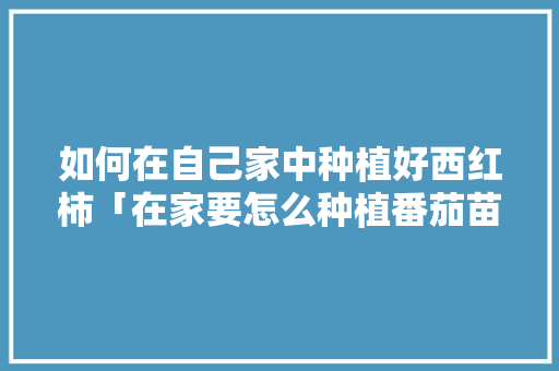 如何在自己家中种植好西红柿「在家要怎么种植番茄苗呢」 如何在自己家中种植好西红柿「在家要怎么种植番茄苗呢」 种植技巧