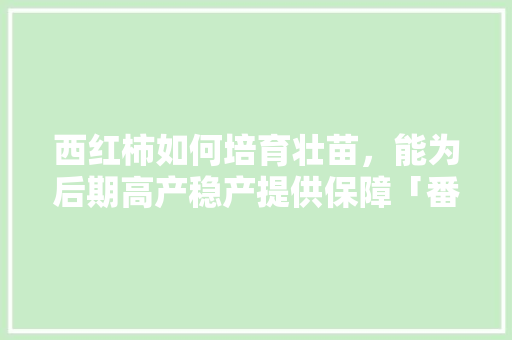 西红柿如何培育壮苗，能为后期高产稳产提供保障「番茄苗壮果怎么种植视频」 西红柿如何培育壮苗，能为后期高产稳产提供保障「番茄苗壮果怎么种植视频」 植物种类