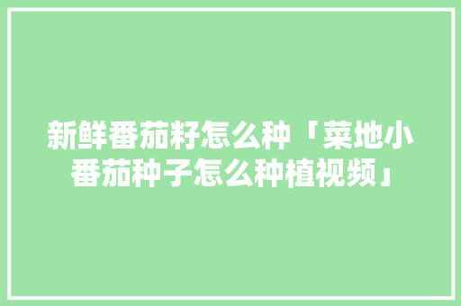 新鲜番茄籽怎么种「菜地小番茄种子怎么种植视频」 新鲜番茄籽怎么种「菜地小番茄种子怎么种植视频」 番茄种植技巧
