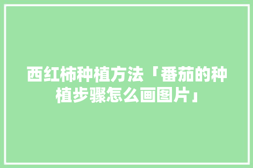 西红柿种植方法「番茄的种植步骤怎么画图片」 西红柿种植方法「番茄的种植步骤怎么画图片」 植物种类