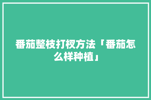 番茄整枝打杈方法「番茄怎么样种植」 番茄整枝打杈方法「番茄怎么样种植」 植物种类