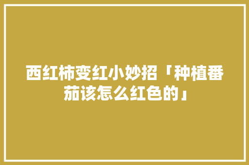 西红柿变红小妙招「种植番茄该怎么红色的」 西红柿变红小妙招「种植番茄该怎么红色的」 农业常识