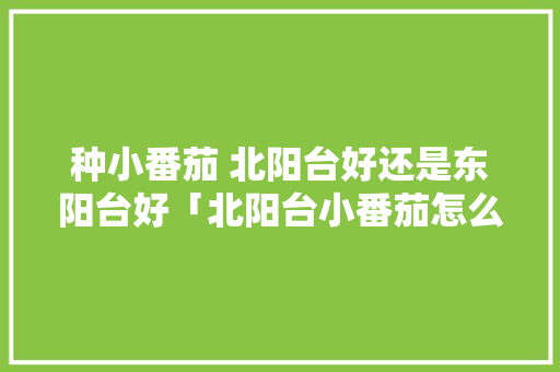 种小番茄 北阳台好还是东阳台好「北阳台小番茄怎么种植视频」 种小番茄 北阳台好还是东阳台好「北阳台小番茄怎么种植视频」 番茄种植技巧
