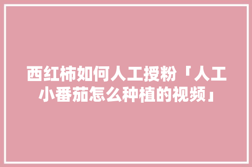 西红柿如何人工授粉「人工小番茄怎么种植的视频」 西红柿如何人工授粉「人工小番茄怎么种植的视频」 番茄病虫害防治