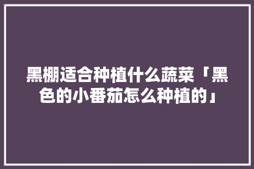 黑棚适合种植什么蔬菜「黑色的小番茄怎么种植的」 黑棚适合种植什么蔬菜「黑色的小番茄怎么种植的」 花朵知识