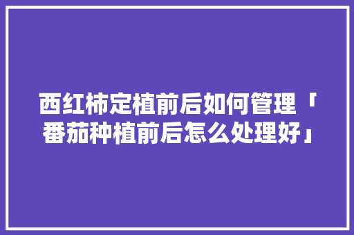 西红柿定植前后如何管理「番茄种植前后怎么处理好」 西红柿定植前后如何管理「番茄种植前后怎么处理好」 番茄病虫害防治