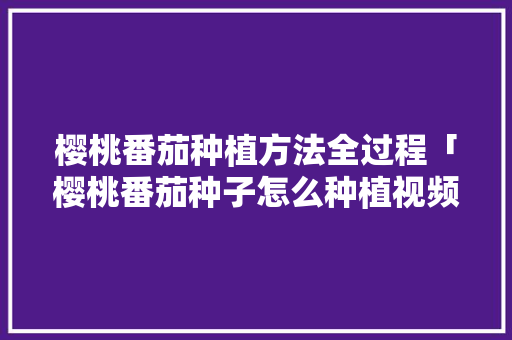樱桃番茄种植方法全过程「樱桃番茄种子怎么种植视频」 樱桃番茄种植方法全过程「樱桃番茄种子怎么种植视频」 农业常识