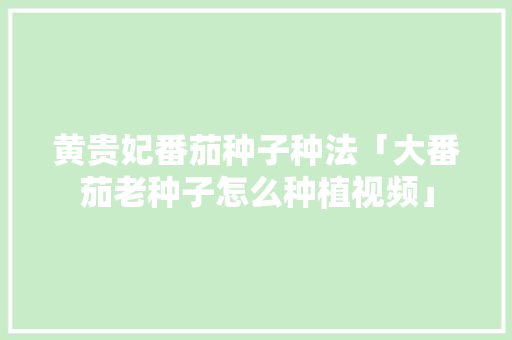 黄贵妃番茄种子种法「大番茄老种子怎么种植视频」 黄贵妃番茄种子种法「大番茄老种子怎么种植视频」 番茄种植技巧