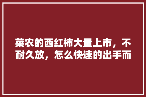 菜农的西红柿大量上市，不耐久放，怎么快速的出手而又不至于赔钱「买到畸形番茄怎么种植好呢」 菜农的西红柿大量上市，不耐久放，怎么快速的出手而又不至于赔钱「买到畸形番茄怎么种植好呢」 种植技巧
