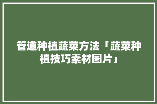 管道种植蔬菜方法「蔬菜种植技巧素材图片」 管道种植蔬菜方法「蔬菜种植技巧素材图片」 农业常识