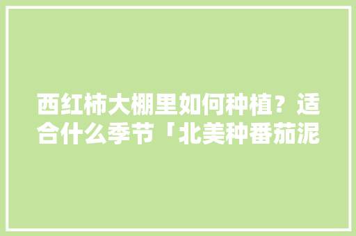 西红柿大棚里如何种植?适合什么季节「北美种番茄泥土怎么种植的」 植物种类 西红柿大棚里如何种植?适合什么季节「北美种番茄泥土怎么种植的」 西红柿大棚里如何种植?适合什么季节「北美种番茄泥土怎么种植的」 植物种类