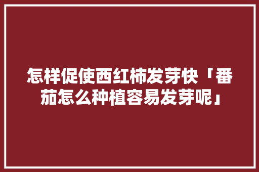 怎样促使西红柿发芽快「番茄怎么种植容易发芽呢」 花朵知识 怎样促使西红柿发芽快「番茄怎么种植容易发芽呢」 怎样促使西红柿发芽快「番茄怎么种植容易发芽呢」 花朵知识