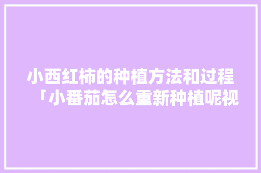 小西红柿的种植方法和过程「小番茄怎么重新种植呢视频」 小西红柿的种植方法和过程「小番茄怎么重新种植呢视频」 花朵知识